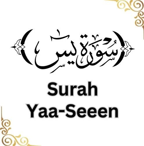 Surah Yaseen PDF: The Heart of the Quran Available for Easy Access and Recitation