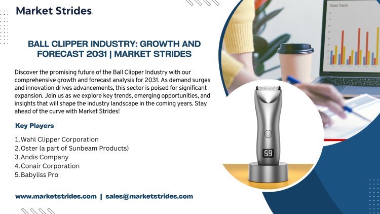 Ball Clipper Industry: Growth and Forecast 2031 | Market Strides