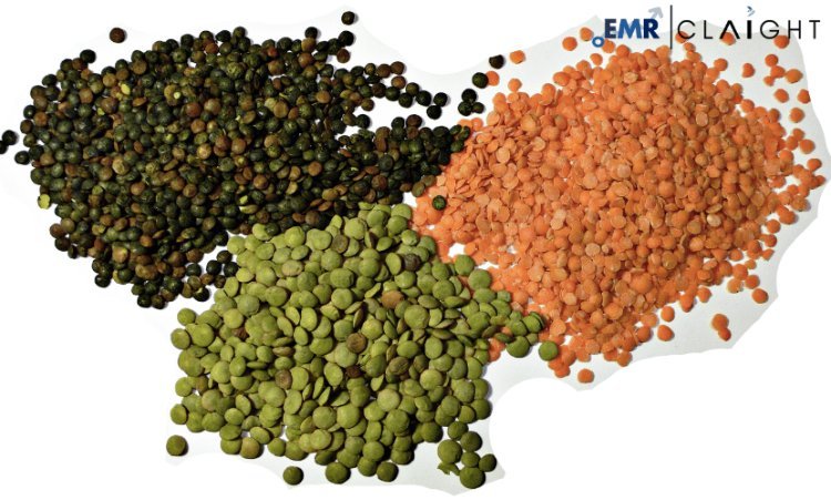 Lentil Market Report: Growth, Trends, and Forecast Analysis 2024-2032