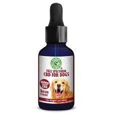 CBD Oil for Dogs 600 mg Benefits and Dosage Guide