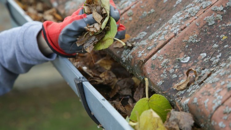 How Gutter Cleaning in Brooklyn Can Prevent Water Damage to Your Home