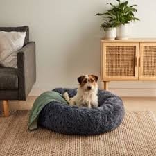 The Best Kmart Dog Bed for Your Furry Friend