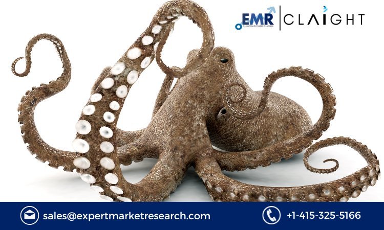 The Global Octopus Market: Trends, Growth, and Future Outlook