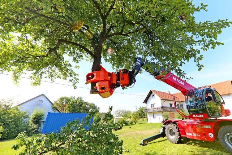 Affordable Tree Trimming Crosby Services for Every Homeowner