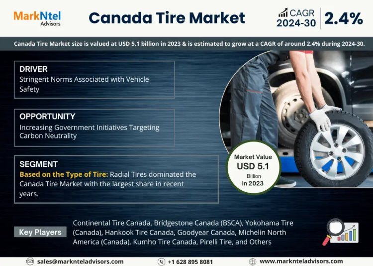 Canada Tire Market Insight: Industry Size, Growth & Trends from 2024-2030