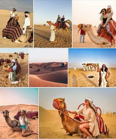 Best Desert Safari Adventures in UAE