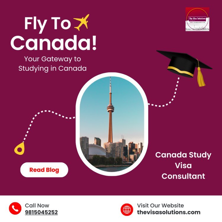 Canada Study Visa Consultant: Your Gateway to Studying in Canada