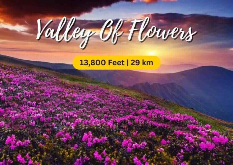 Valley of Flowers Trek