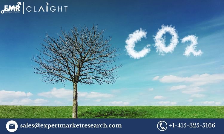 United Kingdom Carbon Dioxide Market: Trends, Opportunities, and Growth Forecast