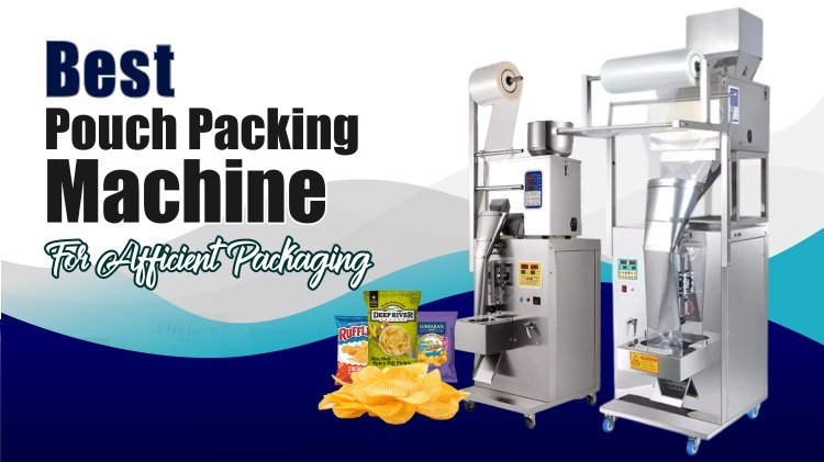 Best Pouch Packing Machine for Your Business Needs