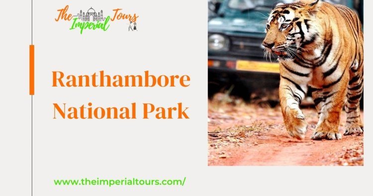 Discover the Wonders of Ranthambore National Park with The Imperial Tours