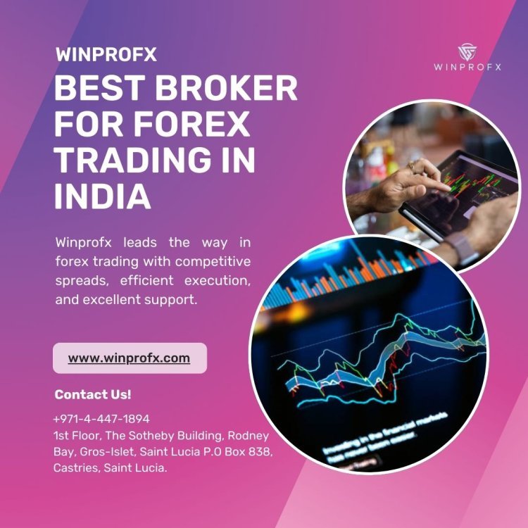 How to Choose a Forex Broker with Low Fees on WinProFx