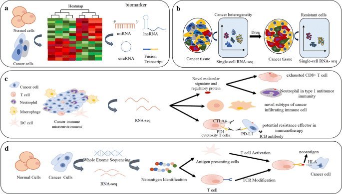 Small Nucleic Acid Drugs and RNA Sequencing