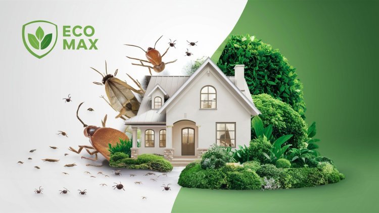 Defend Your Home Naturally with Eco Max Pest Experts