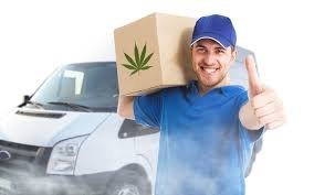 Cannabis Delivery in La Habra: Where to Find the Best Service