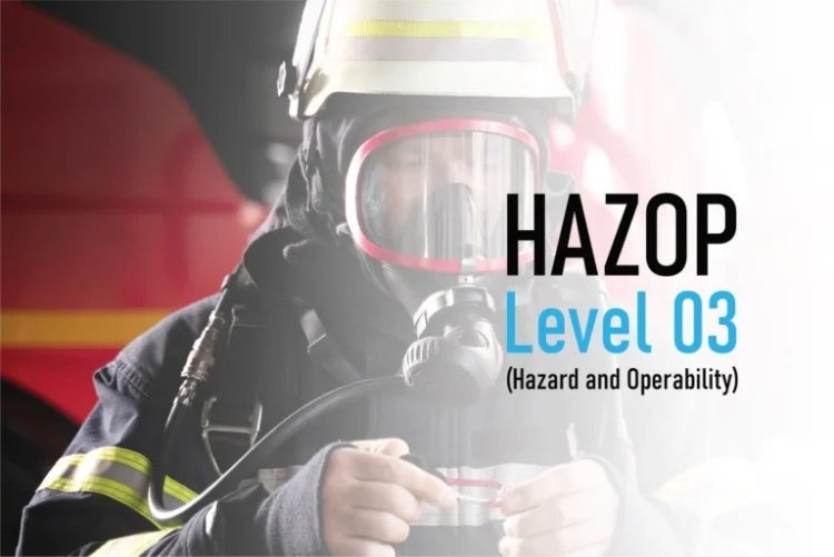 Case Studies in HAZOP Learning from Real-World Risk Assessments