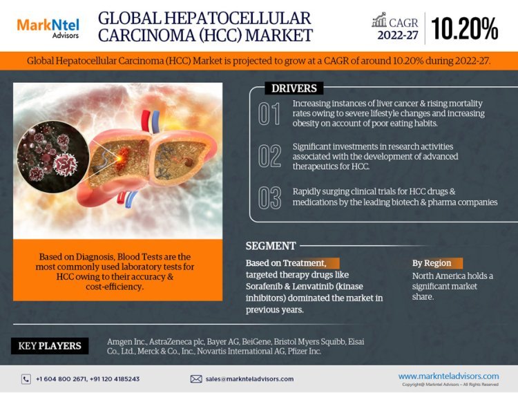 Hepatocellular Carcinoma (HCC) Market Breakdown By Size, Share, Growth, Trends, and Industry 2027